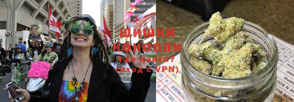 прущая мука Чекалин