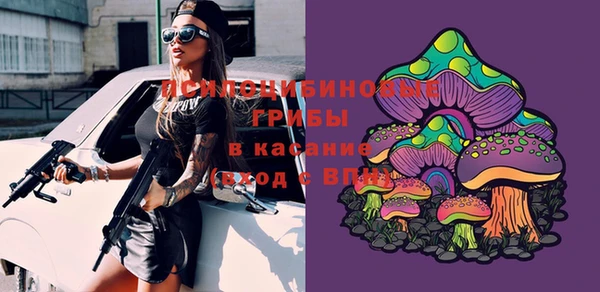 герыч Чегем