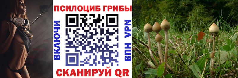 Псилоцибиновые грибы Psilocybine cubensis Купить Уварово